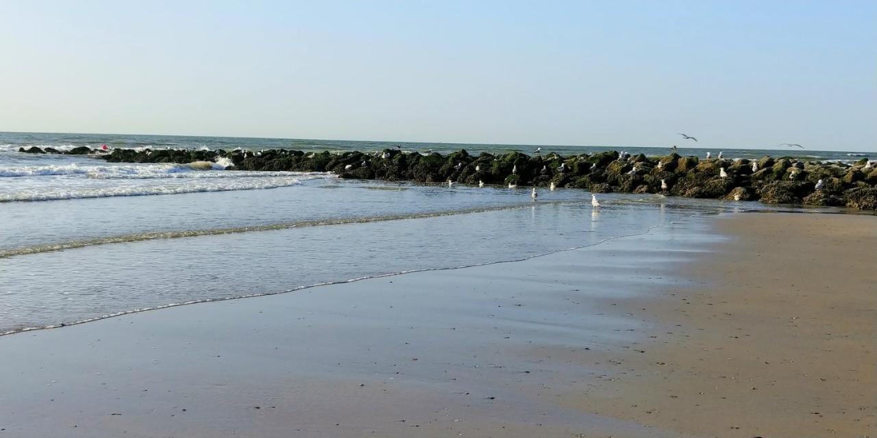 Sunny Bank Westende Zeezicht Middelkerke Exterior foto